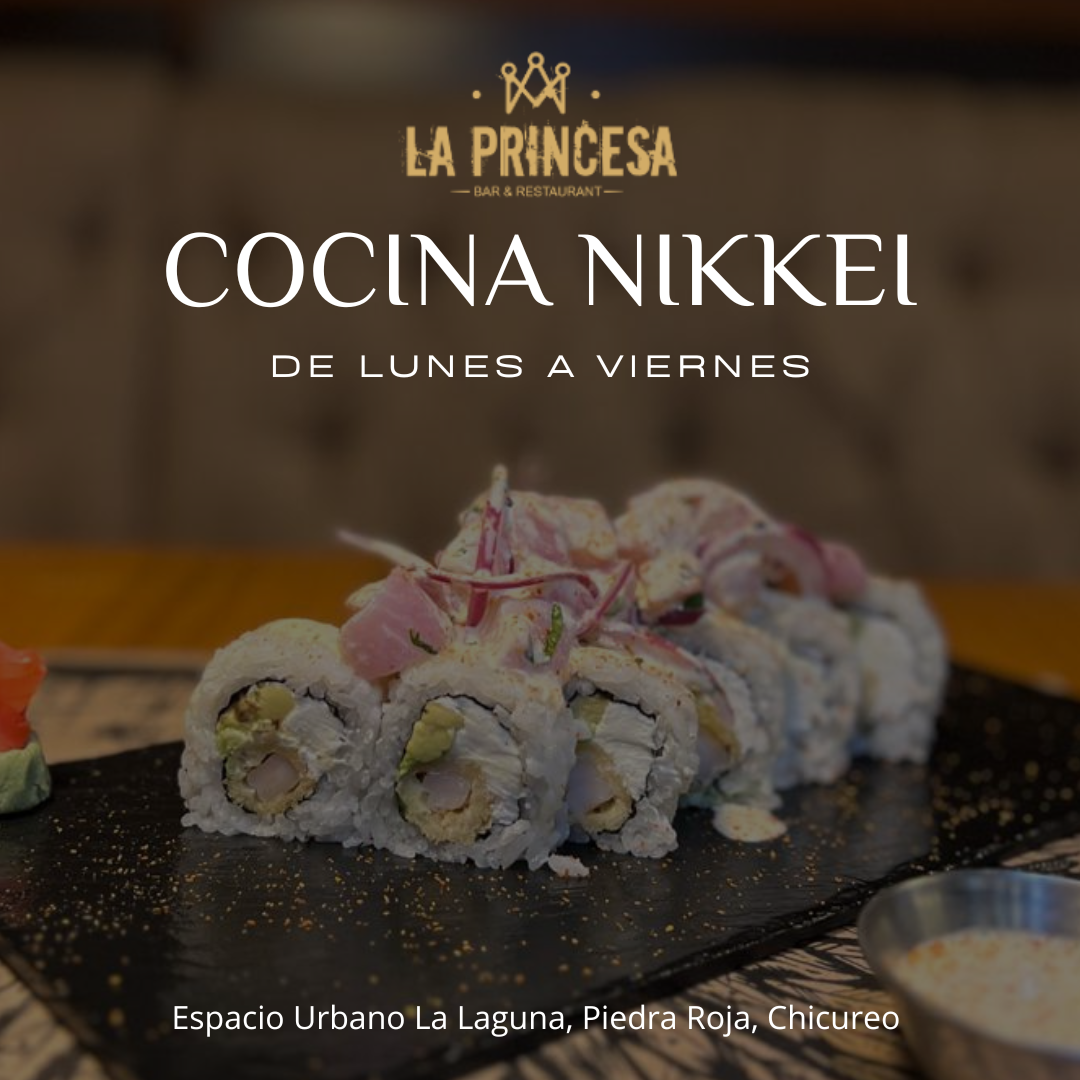 nueva promo nikkei